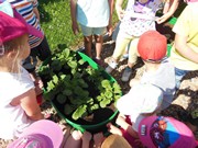 Zahrádka ve školce